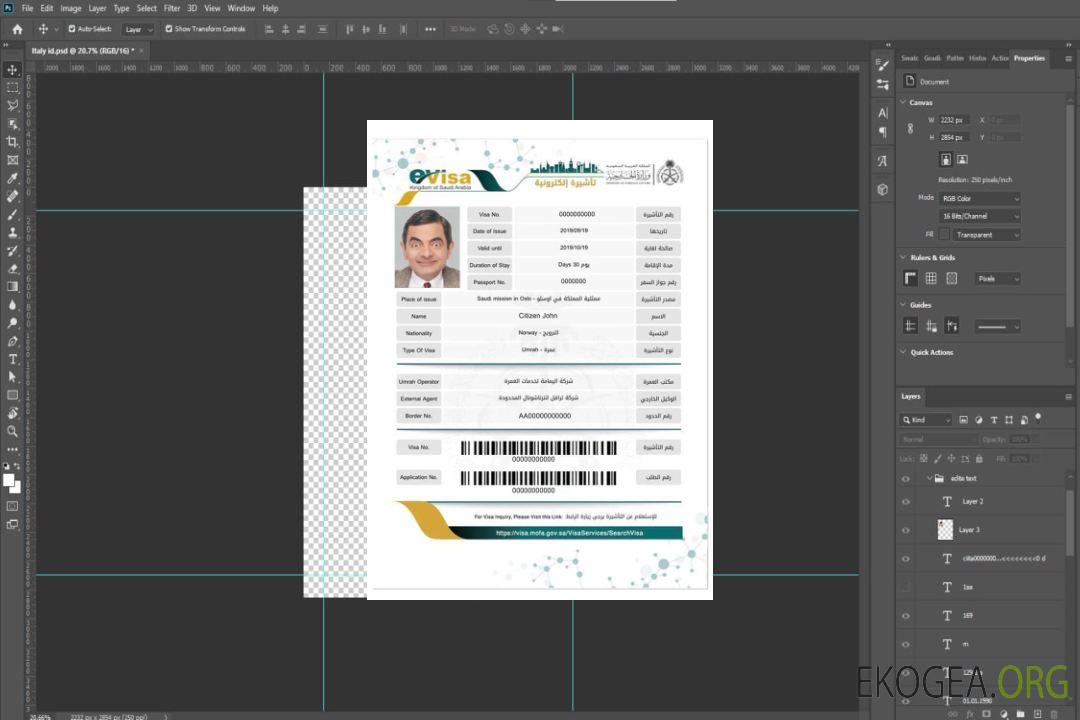 Visa électronique pour l'ARABIE SAOUDITE template